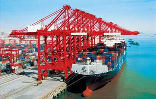 全球集装箱港口增速创7年新高,市场真的好转了吗 丨航运界